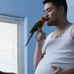 Đàn ông mơ thấy mình có bầu