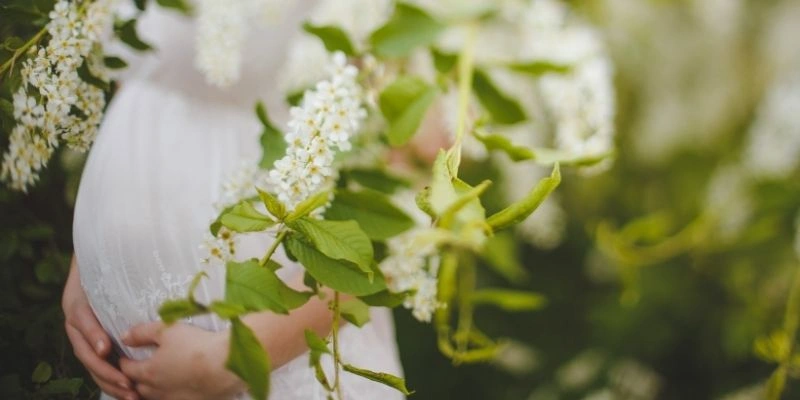 Nằm mơ thấy người khác có bầu